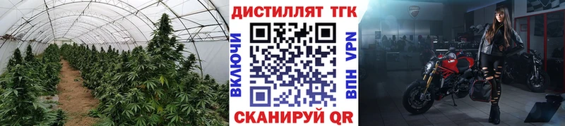 Дистиллят ТГК концентрат  Купить закладки  Курск 