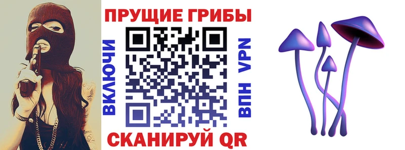Псилоцибиновые грибы Psilocybine cubensis  Купить где  Курск 